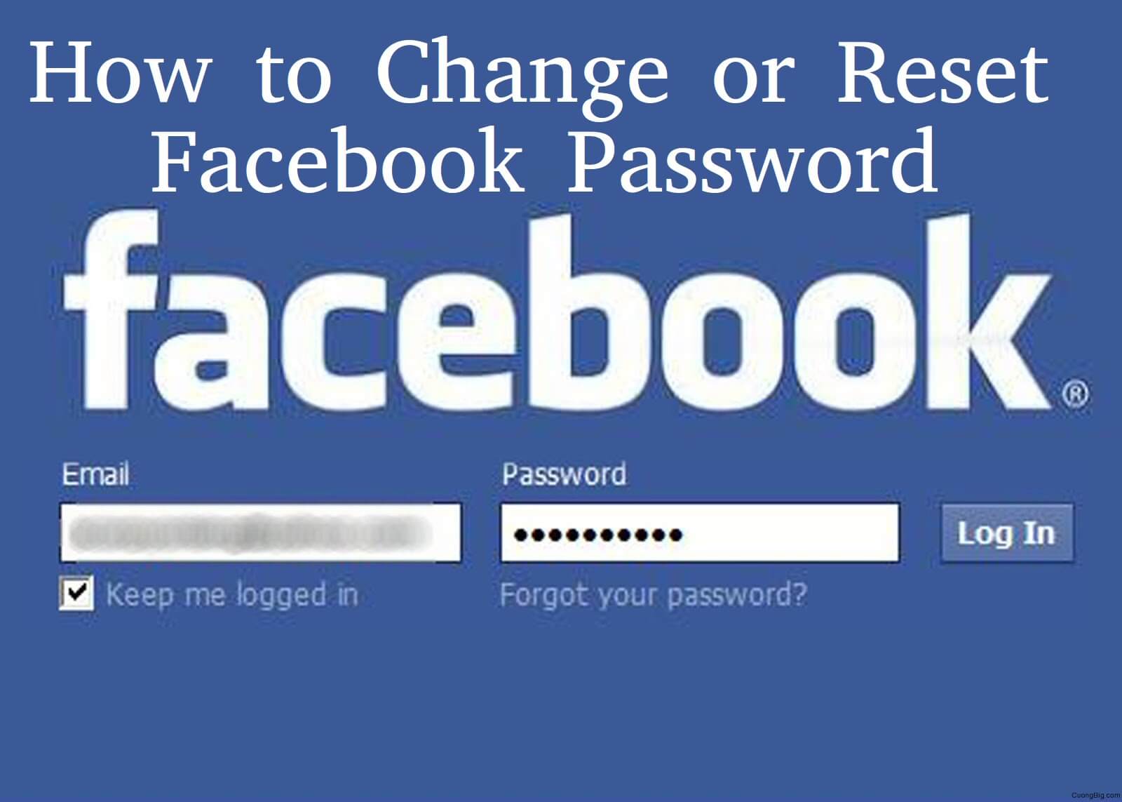Facebook How to Password Change or Reset Wikiamonks